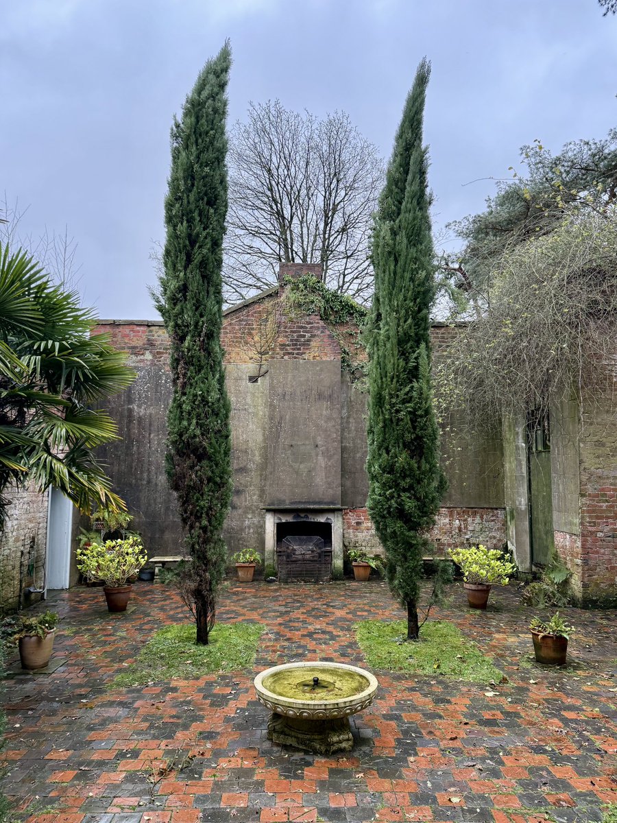 Had a wonderful morning at the <a href="/Rode_Hall/">Rode Hall</a> Christmas Market despite the weather. One of my favourite parts of the garden is the small Italian Garden which was created in the ruins of the Old Tennants’ Hall.  I particularly love these beautiful Italian cypress.