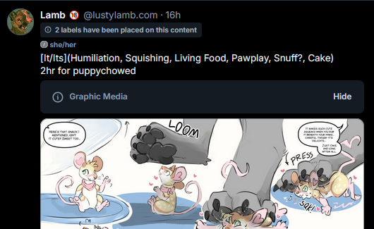 Lamb MOVED (Check Bio!) tweet media