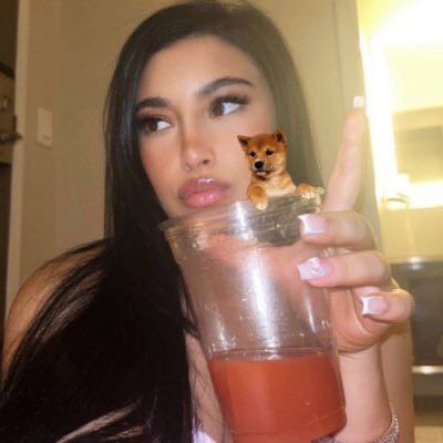updogtoken's tweet photo. @OrwellNGoode Exactly 😫 makes me wanna throw Updog 🫠 https://t.co/oH0w1SmpEc