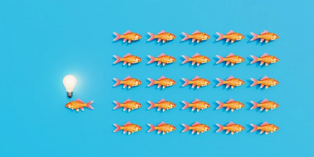 En el blog >
No seas diferente, sé contrario
managementestrategico.blogspot.com/2024/12/no-sea…