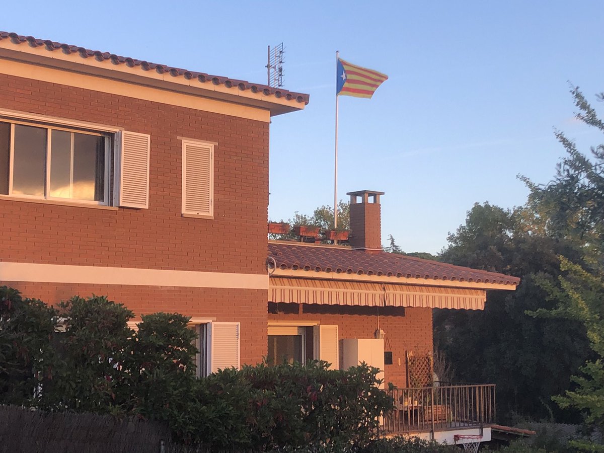 Lluís Triquell i Sabaté tweet media