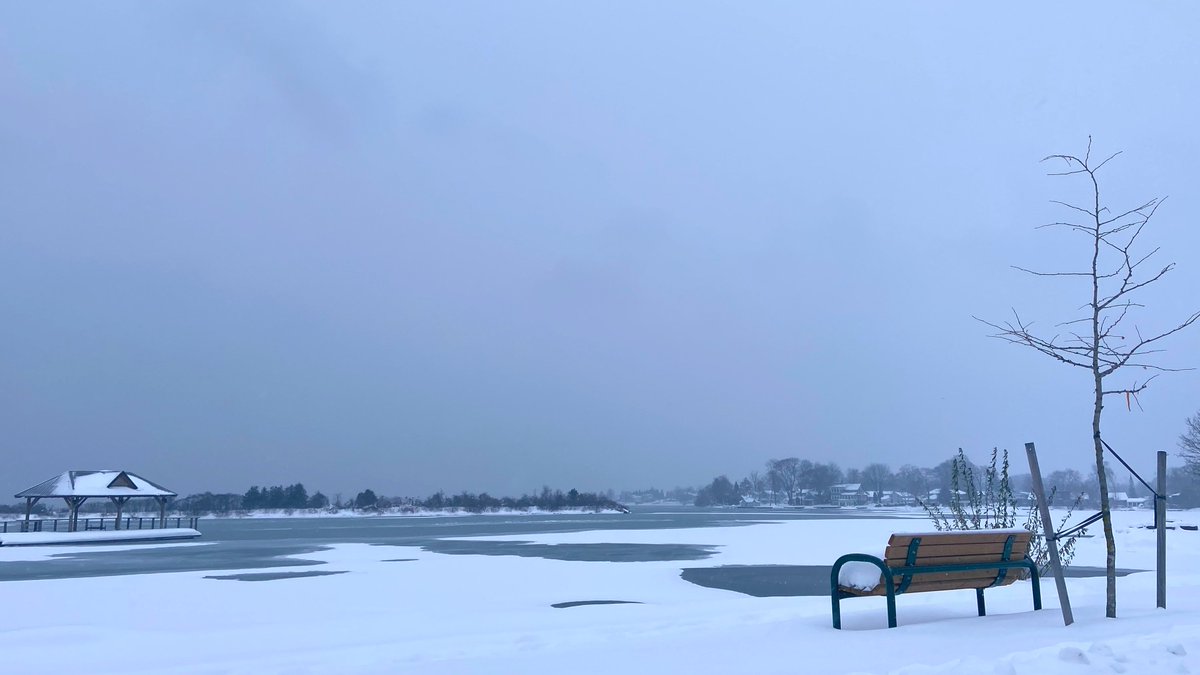 DaniInGeneral's tweet image. Winter wandering ❄️🥶📷