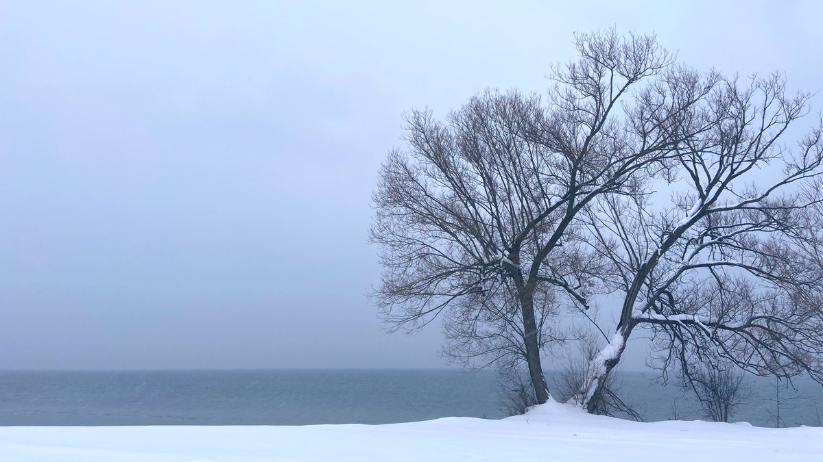 DaniInGeneral's tweet image. Winter wandering ❄️🥶📷