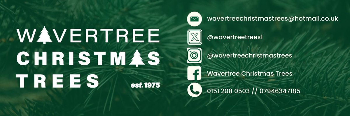 WavertreeTrees1's tweet photo. Another big day tomorrow, free Liverpool delivery, direct to you best quality Nordman Fir Christmas Trees, also our ‘Pop Up Shop’ at the Dutch Flower Shop, Woolton Rd (by Mosspits school) will be open at 11am-4pm, go &amp; look at the quality trees before you buy 07946347185 https://t.co/NkLptNchZ3