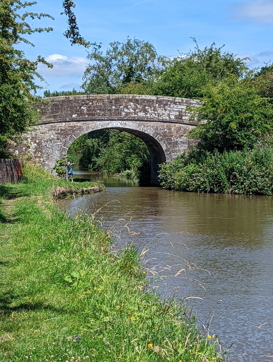 Budforce91's tweet photo. I do miss the canal walks since we've moved 🚶‍♀️🌲🌳#canal #shropshirecanal https://t.co/GEBUcqvOPk