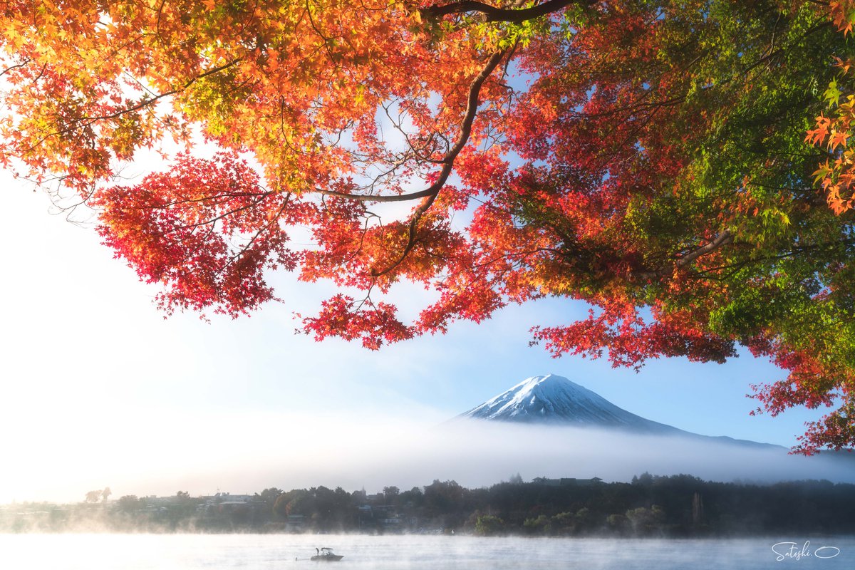 Masala873's tweet photo. 朝日から放たれる生のパワーって最強だと思うんですよね

#富士山 #tokyocameraclub https://t.co/cujRO7wj6T