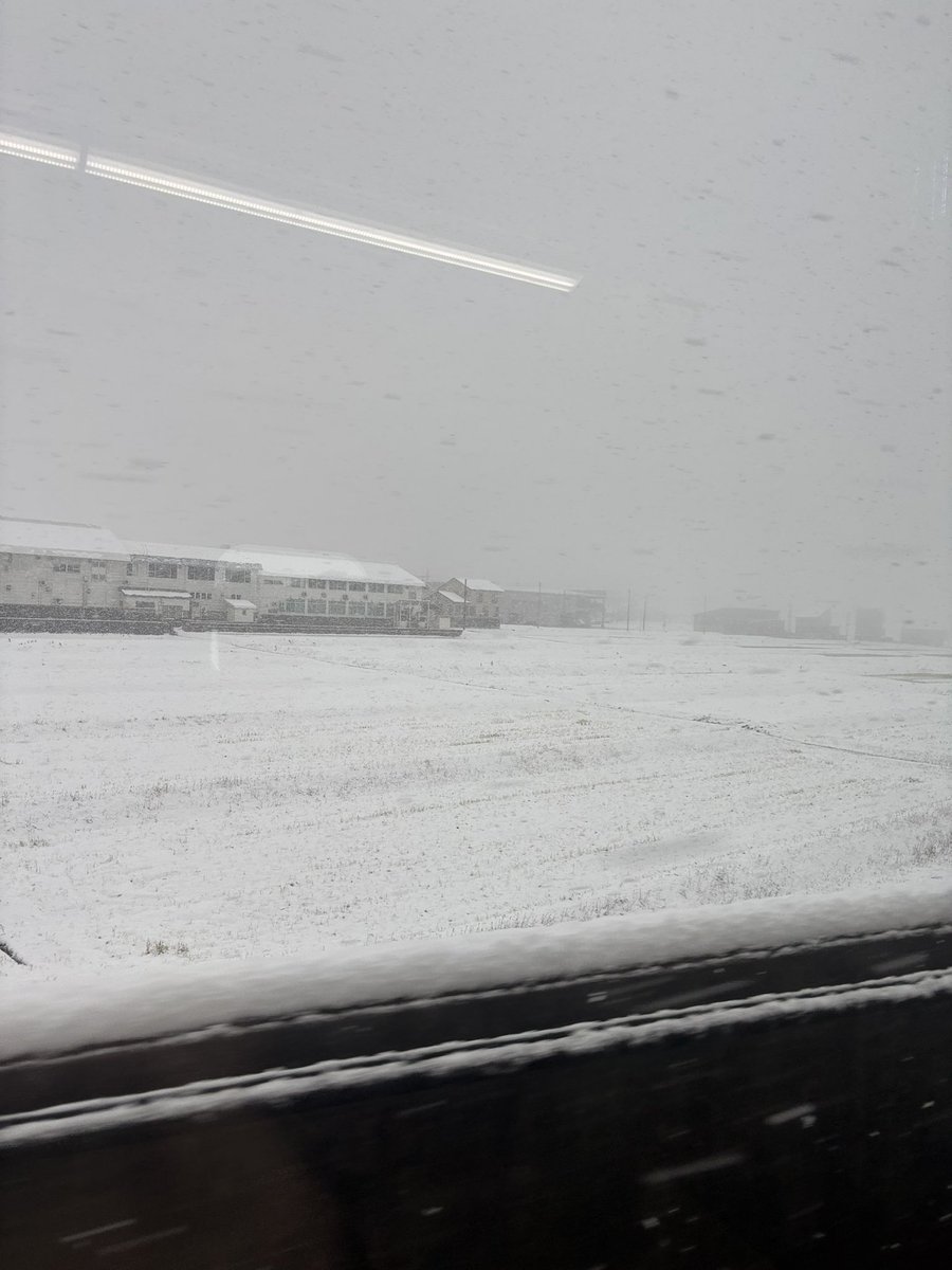 新潟は雪です❄️