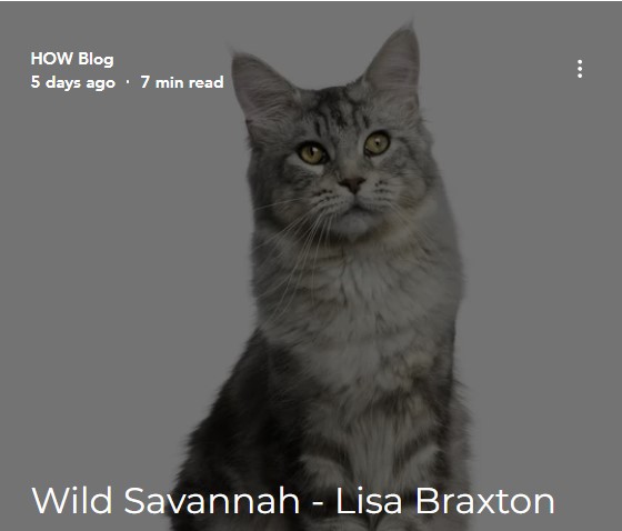 Lisa Braxton tweet media
