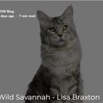 Photo by Lisa Braxton (@LisaReidbraxton)