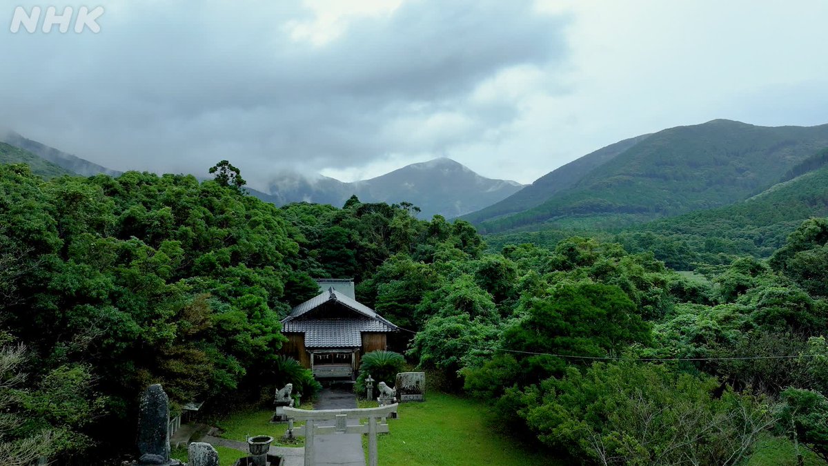 NHK_PR's tweet photo. 【神と人と森の神秘】

社の奥に
田んぼの真ん中に
校庭の中に…

なぜその森が？

日本各地、踏み入ってはならない神聖で恐ろしい場所として、長年守られ、残る森のすがたを。

新日本風土記「入らずの森 畏れの杜」
9（月）夜9:00［BSP4K］
10（火）夜8:00［NHK BS］
https://t.co/RQKDkafPXi https://t.co/Vm0pRPzi5h