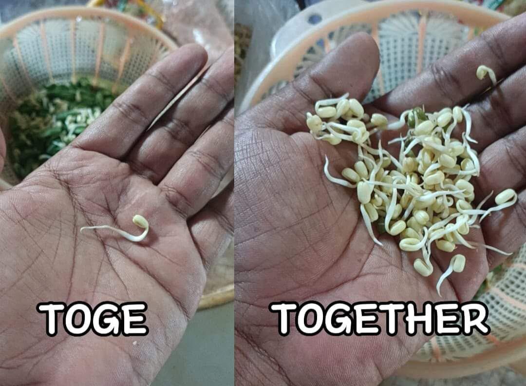 KOS (Komunitas Orang Sinting) (@qrivasi) on Twitter photo 