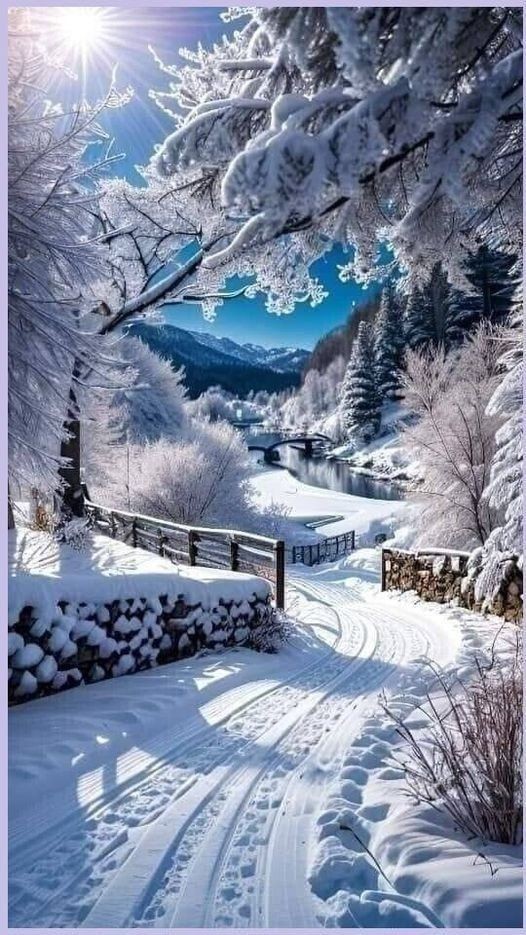 Good morning 🙏 🌄 

Don't just teach your children to count; Along with it, let them also know what is worth counting.
┄┄┅┅┅❅❁❅┅┅┅┄
#nature 
#Christmas