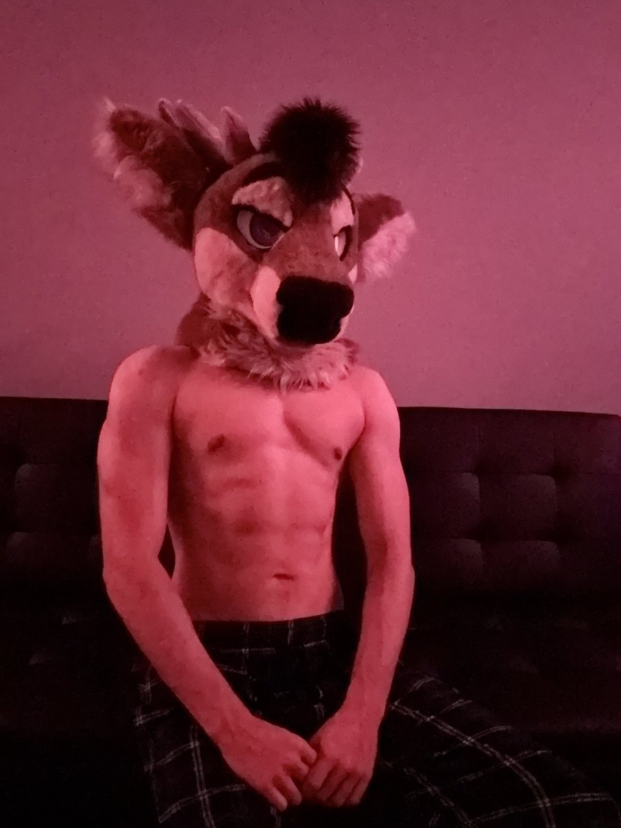 FendoDeer's tweet photo. Saturday night cuddles 🥺🥺⁉️⁉️⁉️ https://t.co/HENl9OXqQ1