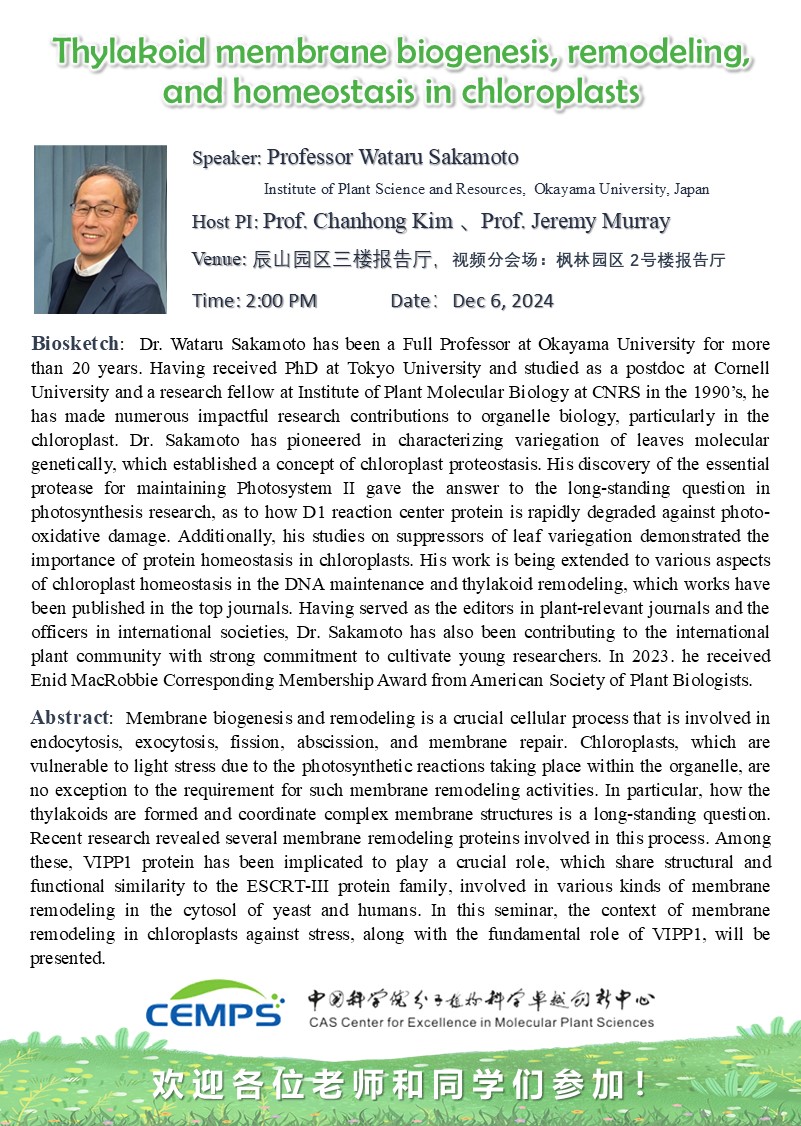 Wataru Sakamoto tweet media