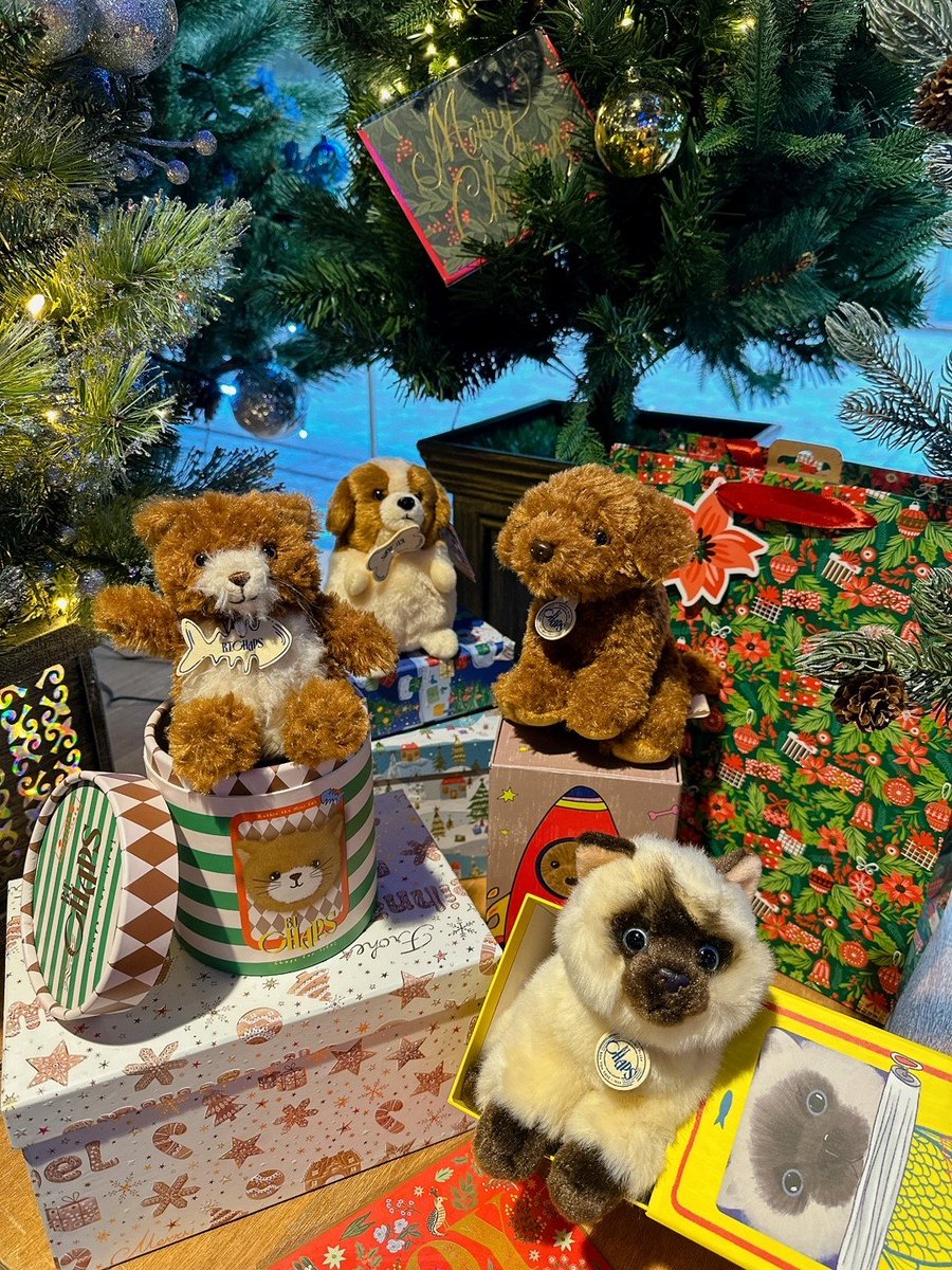 LOFT_SHIBUYA's tweet photo. ・.*・*.December 8th .*・*.・
🎁B.T. CHAPS ぬいぐるみ
オランダの #ぬいぐるみ メーカー
「BON TON TOYS」が設立された
1933年に作られた
シリーズのリバイバル✨
クラッシックで愛らしい姿は
大切な人へ贈りたくなりますね😊
#BONTONTOYS #BTChaps
#渋谷ロフトのギフトカレンダー https://t.co/EXrXIX3OCO