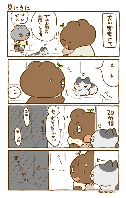 (過去にあげたもの)
にゃん生の間に何回か会えた先代猫さん🐱
お泊まりから3日目の朝に挨拶したら
『まだいたんか?!😾』って顔されてしまった
(※模様は変えています✍️) 