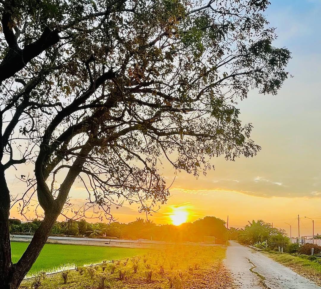 Asalam O Alikum🌸
𝙂𝙤𝙤𝙙 𝙈𝙤𝙧𝙣𝙞𝙣𝙜🌞

Enjoy your day happy morning🌞