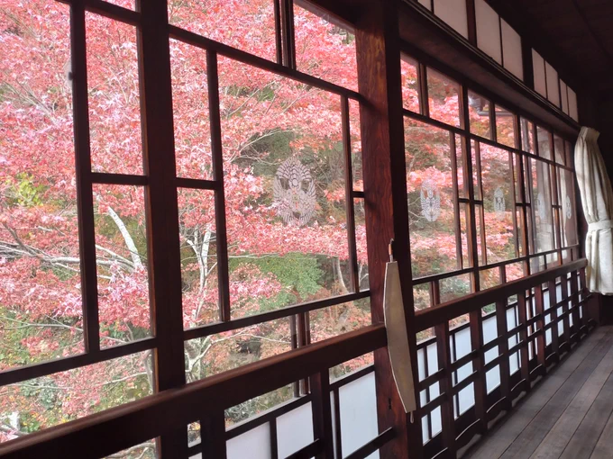 今年もどこにも紅葉を見に行けなかったのでセルフで済ませる 
