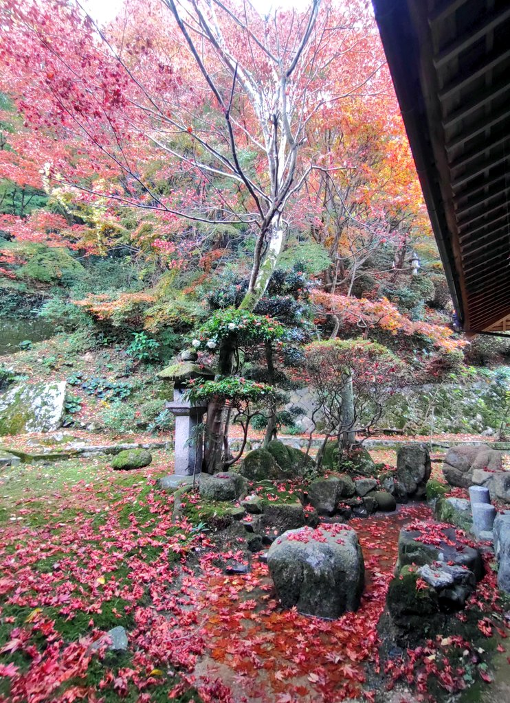 「今年もどこにも紅葉を見に行けなかったのでセルフで済ませる 」|僧侶部部長のイラスト