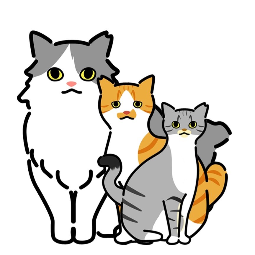 Geng Kucing Amie tweet media