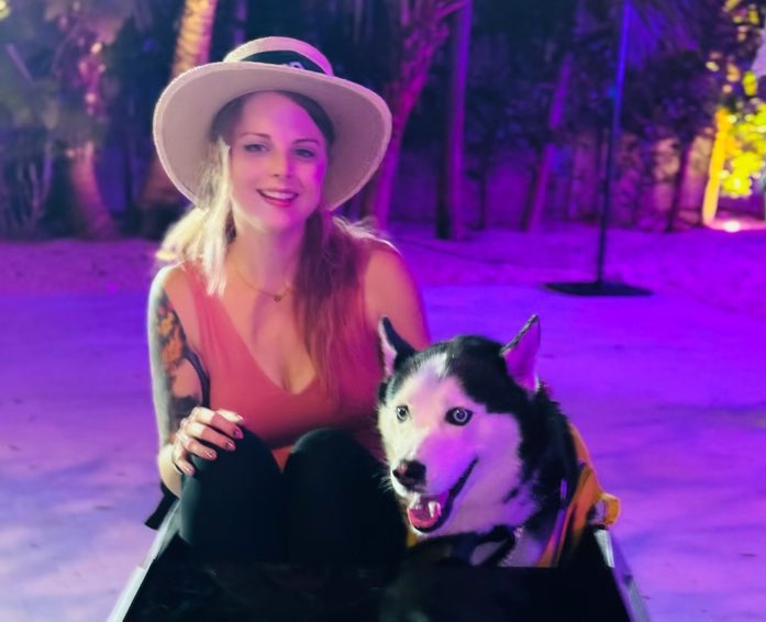 Swaggy Wolfdog tweet media