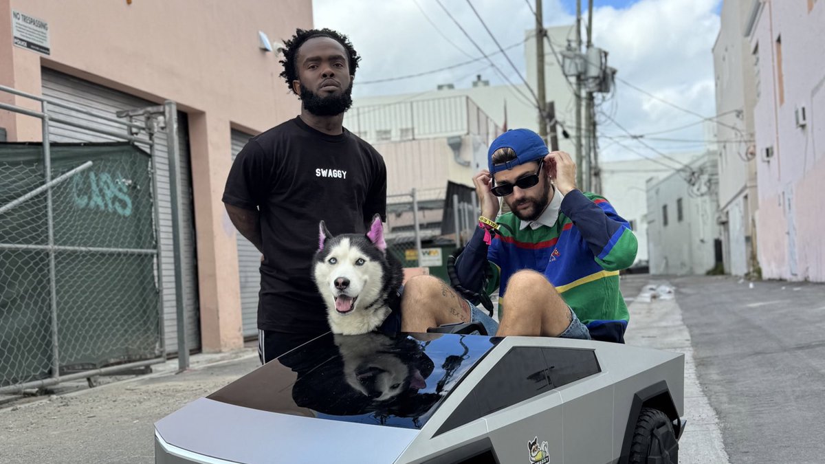 Swaggy Wolfdog tweet media