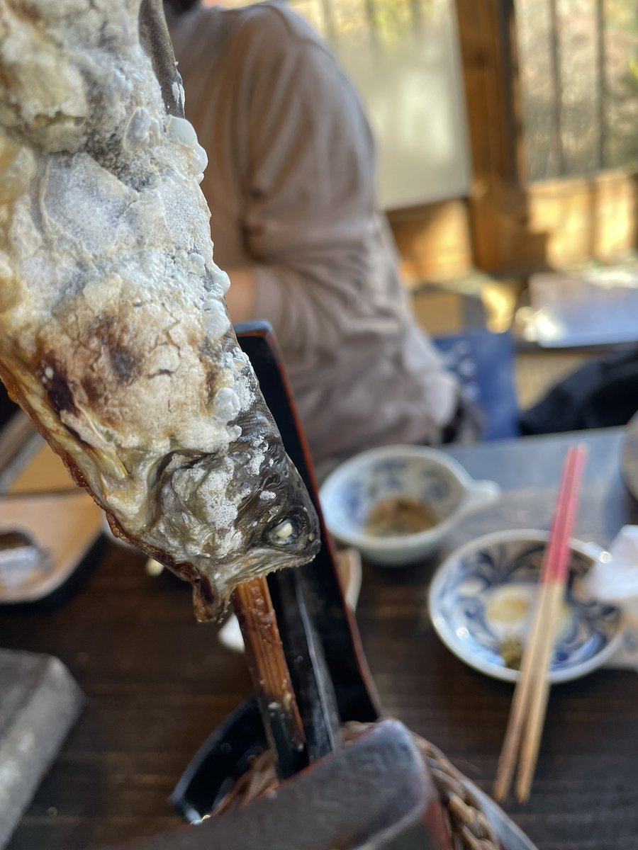 hyper_gravity's tweet photo. 11月30日@武州日野

#武州日野#ジビエ料理 https://t.co/g5sWIYXxCo