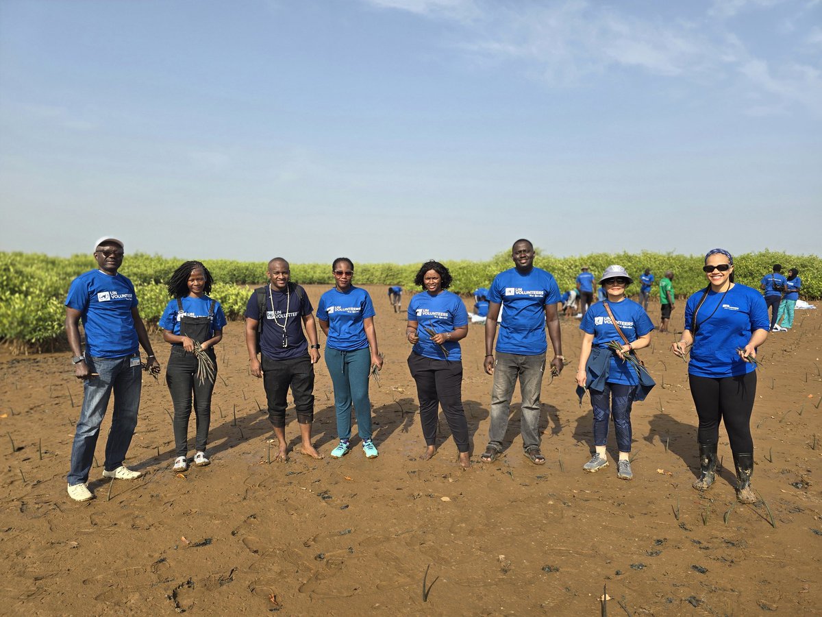 Over 60,000 #mangrove propagules restored!  Our meaningful contribution to #IVD2024 — building a #greener, more #resilient future together. 💚
<a href="/VolNetGam/">VolNet-Gam</a>
<a href="/UNVolunteers/">UN Volunteers</a>
<a href="/UNDP_TheGambia/">UNDP The Gambia</a>
<a href="/Meccnar_Gambia/">Ministry of Environment Climate ChangeNR (MECCNAR)</a>
<a href="/AYLHGAMBIA/">African Youth Leadership Hub Gambia🇬🇲</a>
<a href="/CAG_Alumni/">CorpsAfrica/Gambia Alumni Network</a>
#VolunteerForThePlanet