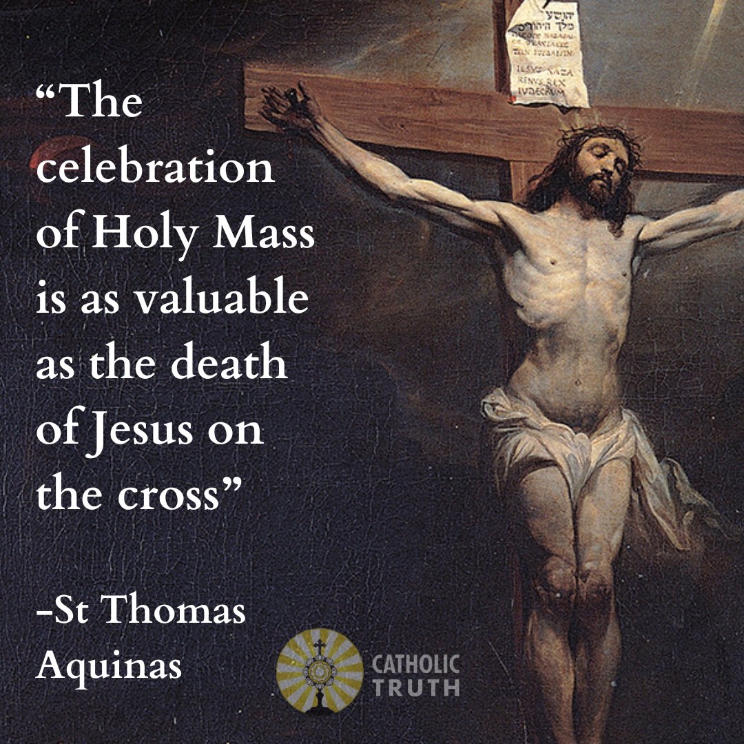 CatholicTruth7's tweet photo. This is your reminder to head to Mass โ๏ธ. The Catholic Church has Mass every single day ๐คฏ What a GIFT that we can be fed DAILY if we so choose!!!
#Catholictruth #getfed #Jesussaves #eucharist #Communion #Advent #joy #Christmas https://t.co/AcM8KWCQor