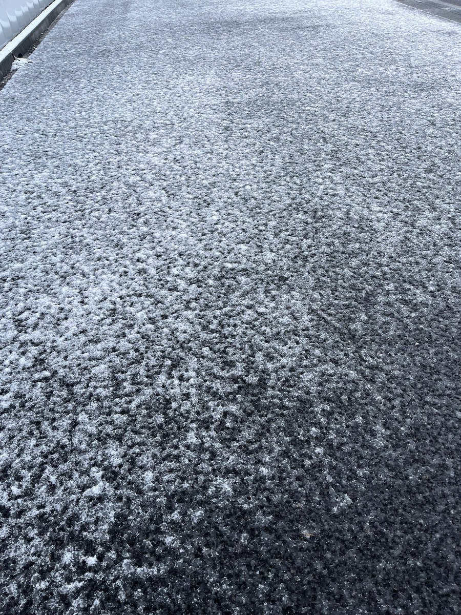 寒い☃️