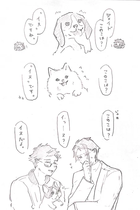イヌクイズ トレジェイ 