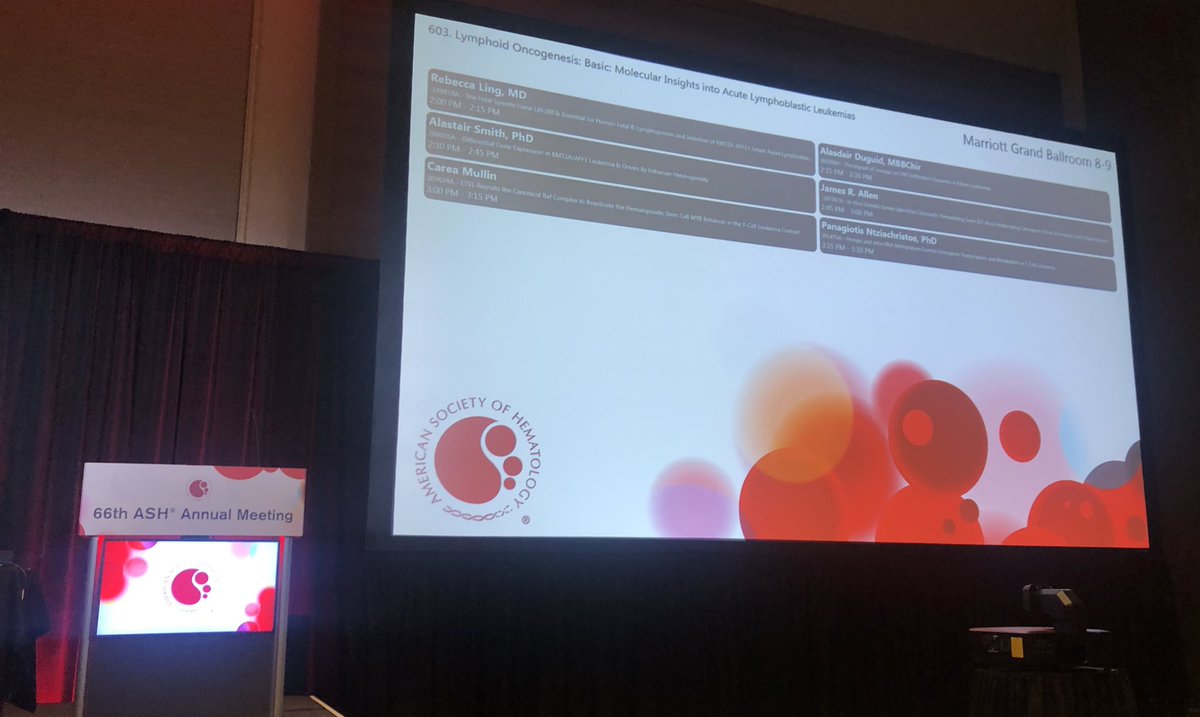 andi roy tweet media