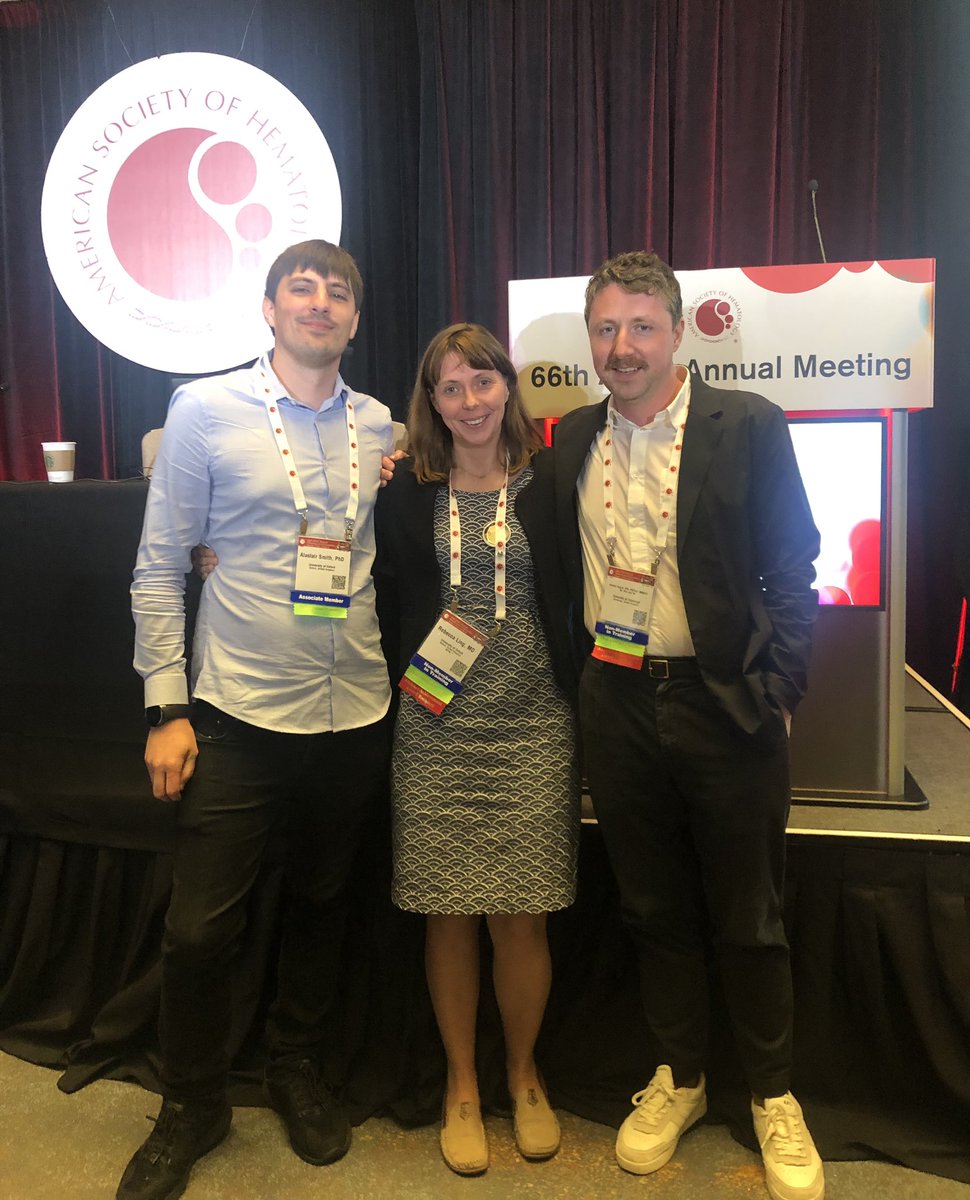 andi roy tweet media