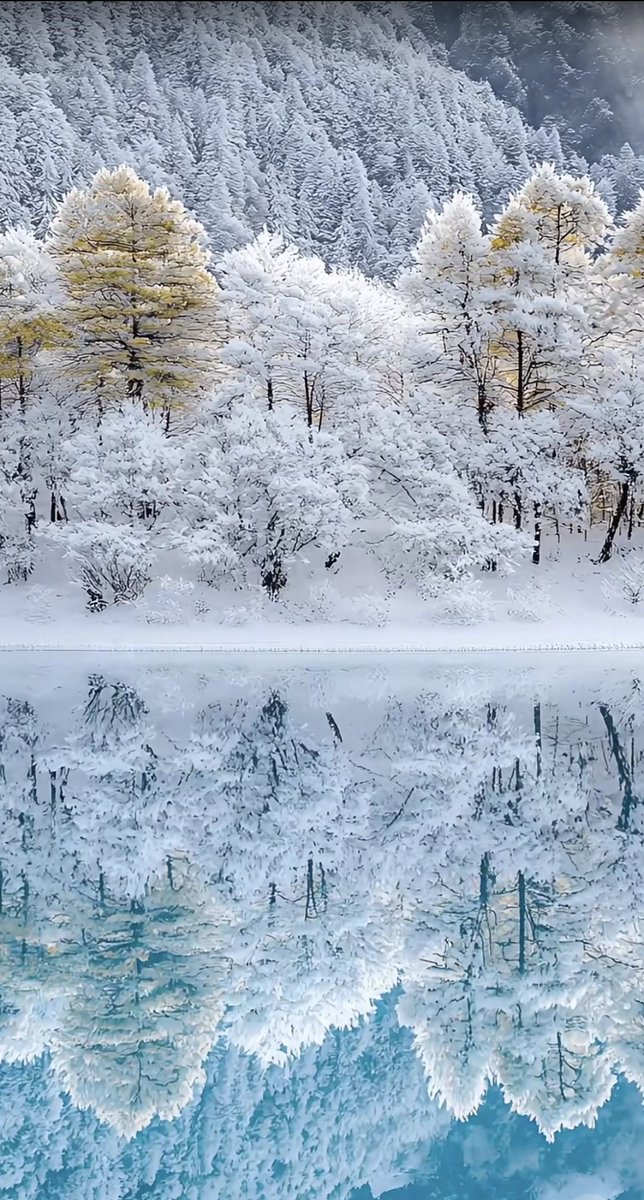 RuoX1's tweet photo. 被雪景美哭了，人间仙境也不过如此了吧！ #雪景美如画  #九寨沟 https://t.co/uKAr6TN3dj