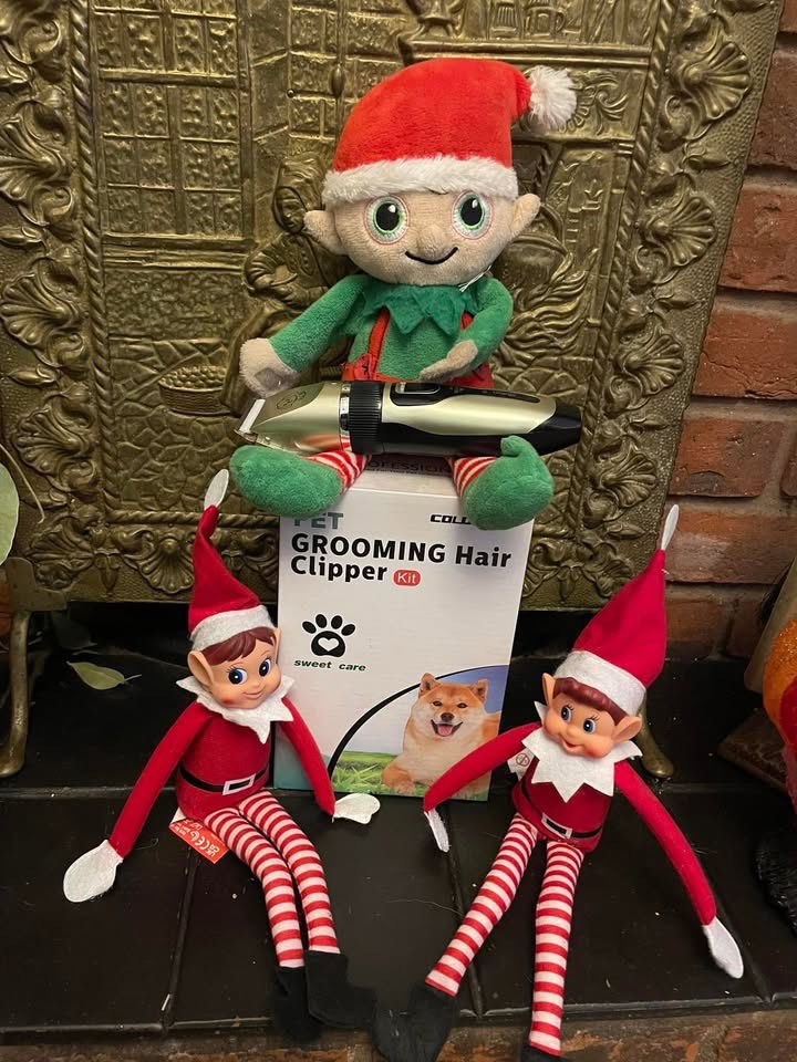 FriendsofIsaac's tweet photo. We haven’t stopped laughing since Simon got up this morning. Those elves 🤣🤣🤣🤣🤣🤣🤣🤣🤣

🎄🎄🎄

#TeamIsaac #friendsofisaacs #christmaselves https://t.co/z92ibypMTa