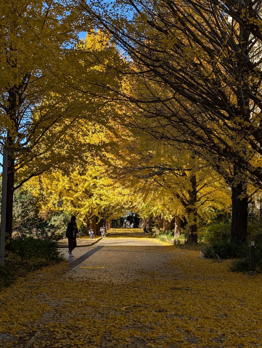 yidjsjp (@yidjsjp) / Posts / X