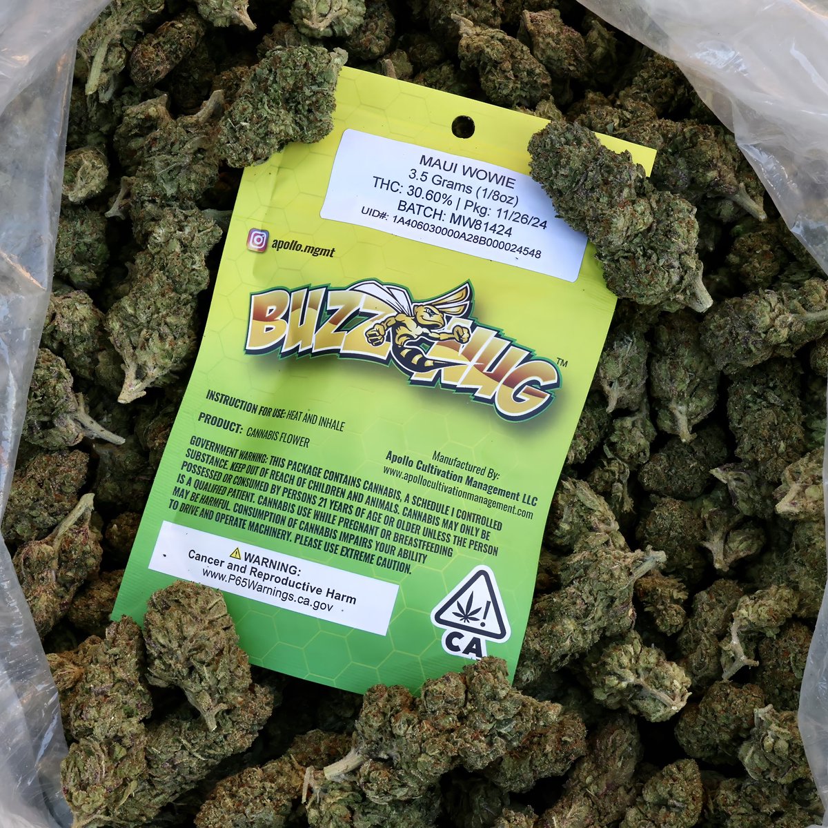 apollo_mgt's tweet photo. This is the right way to enjoy your Saturday.

#cannabisofthegods #nothingbutfire #kush #stoners #thc #indica #sativa #hybrid #buzznug #nitro #athena #smoke #420 #minorityowned #apollo #apollocultivationmanagement https://t.co/ImQrHnLs0m