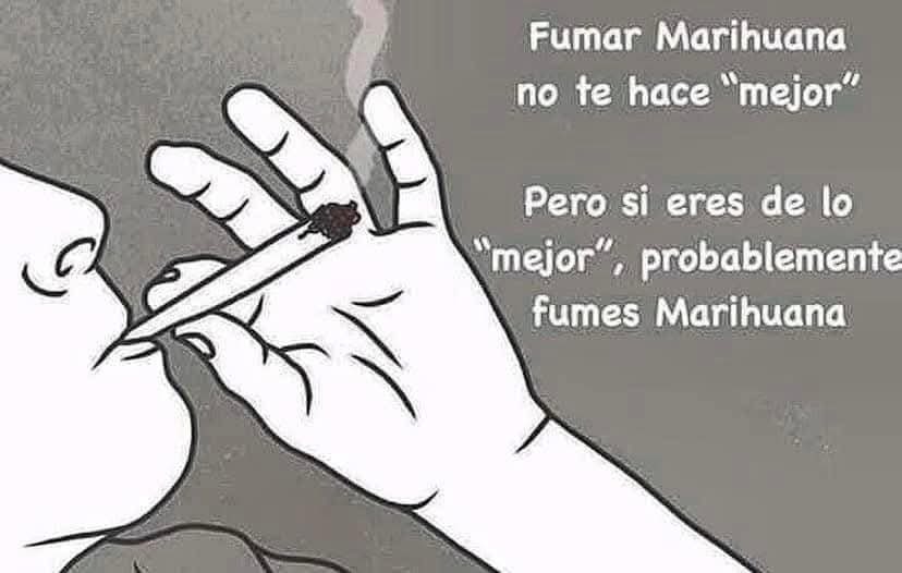 Diego (@diegos42069) on Twitter photo 