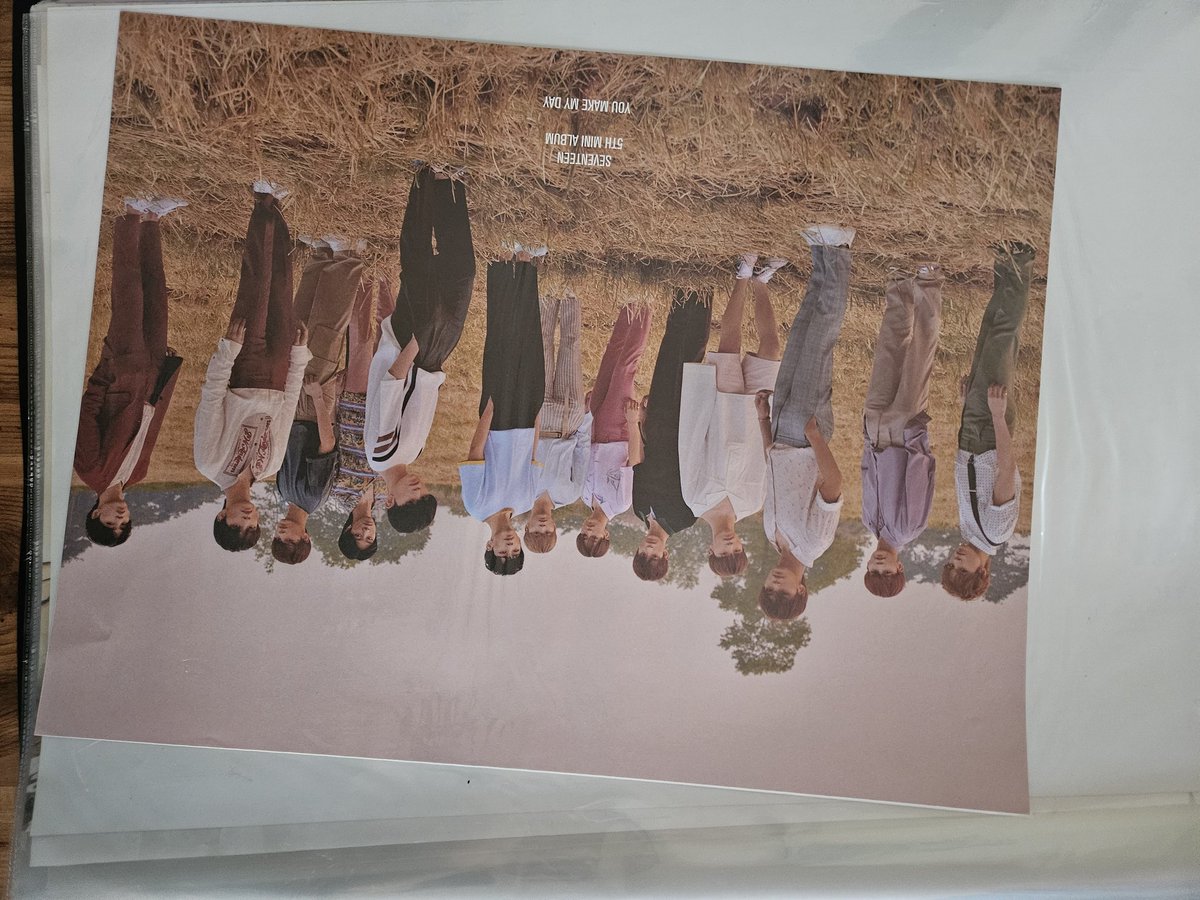 세븐틴 양도 tweet media