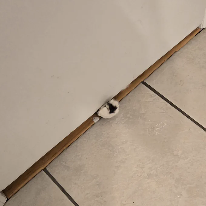 pepper im on the toilet 
