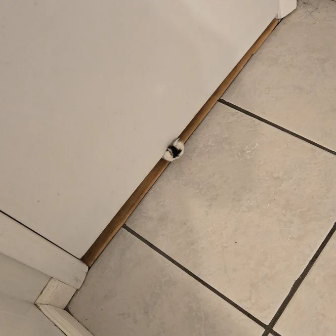 pepper im on the toilet 