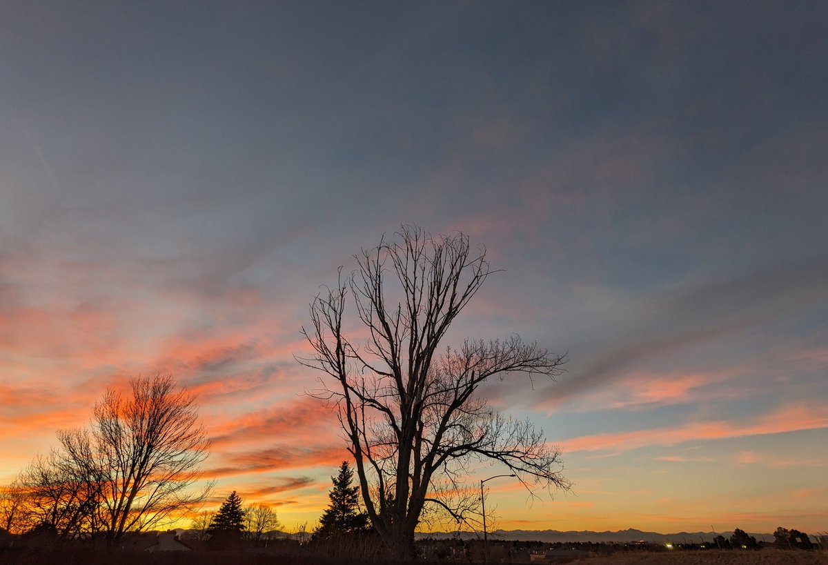 llVallkyriell's tweet photo. 🌙🌄

#ColoradoSunset https://t.co/edcJyhOlnu