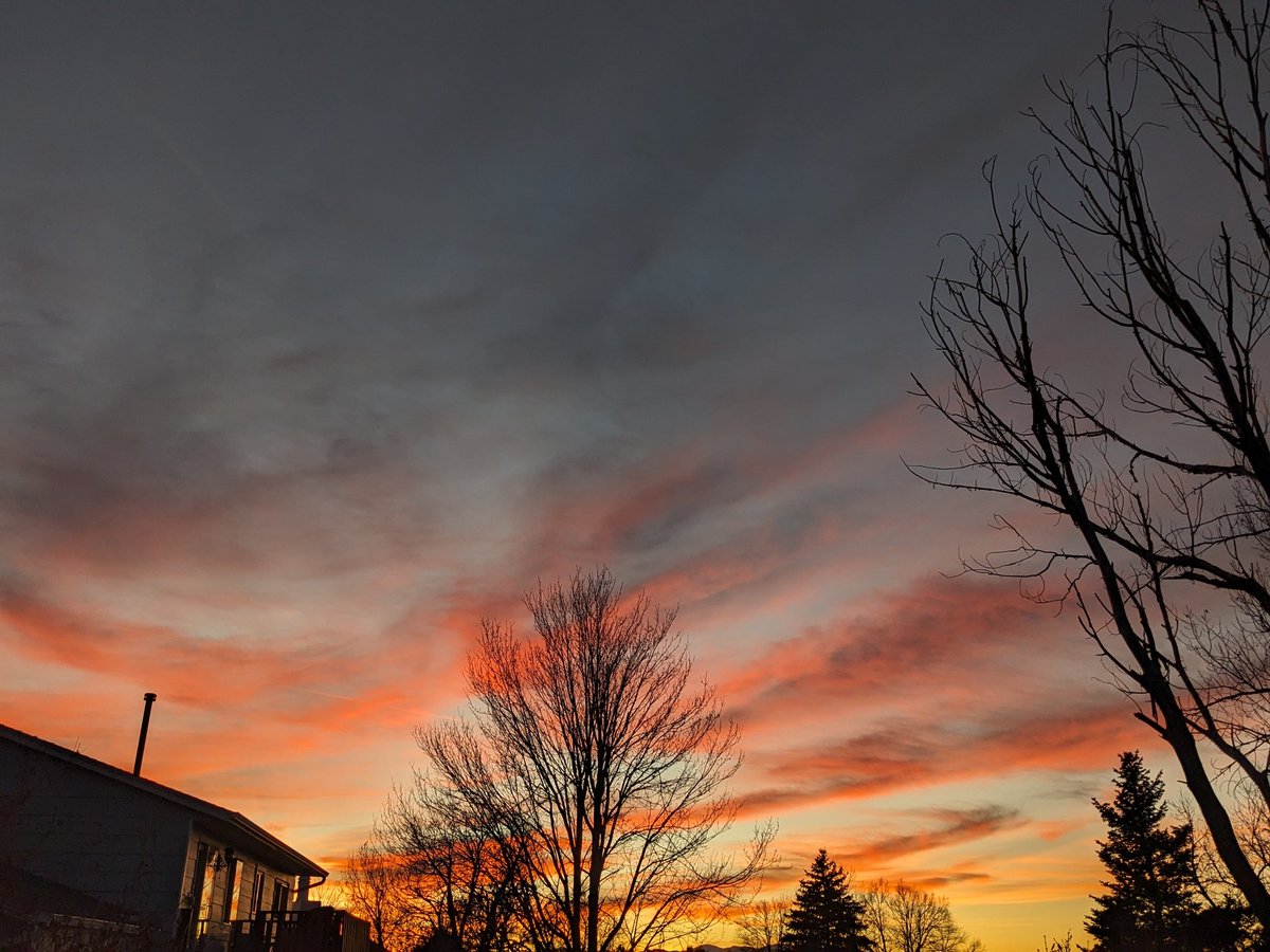 llVallkyriell's tweet photo. 🌙🌄

#ColoradoSunset https://t.co/edcJyhOlnu