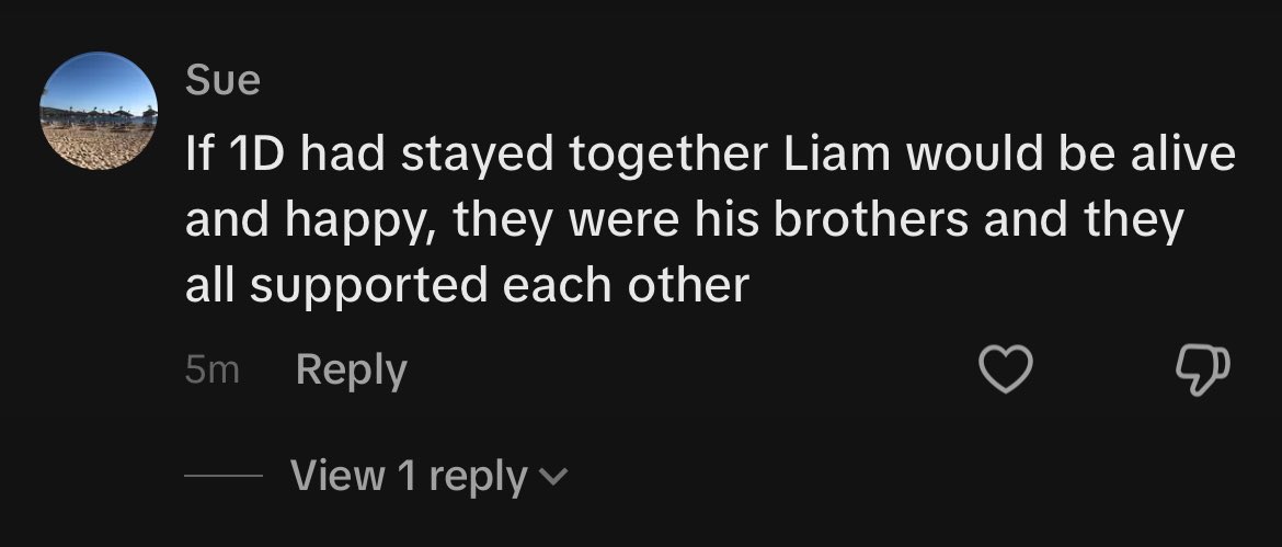 heartmeetbreaks's tweet photo. see, this is the proof that this fandom has never listened to a single word Liam has ever said. he quite literally said word for word that he NEEDED the band to stop or it would've killed him. if they had stayed together, we would've lost him much sooner. https://t.co/qwdcJ5az6K