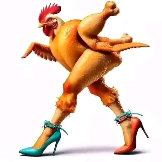 No worry dey form, few weeks from today your shakara go end 😂😄 🐔
#Davidofunds