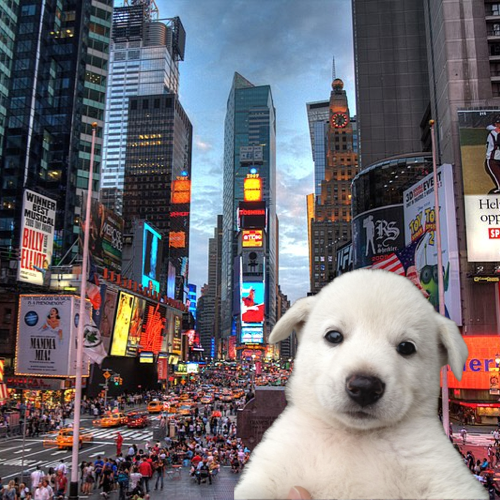 Baby Jing tweet media