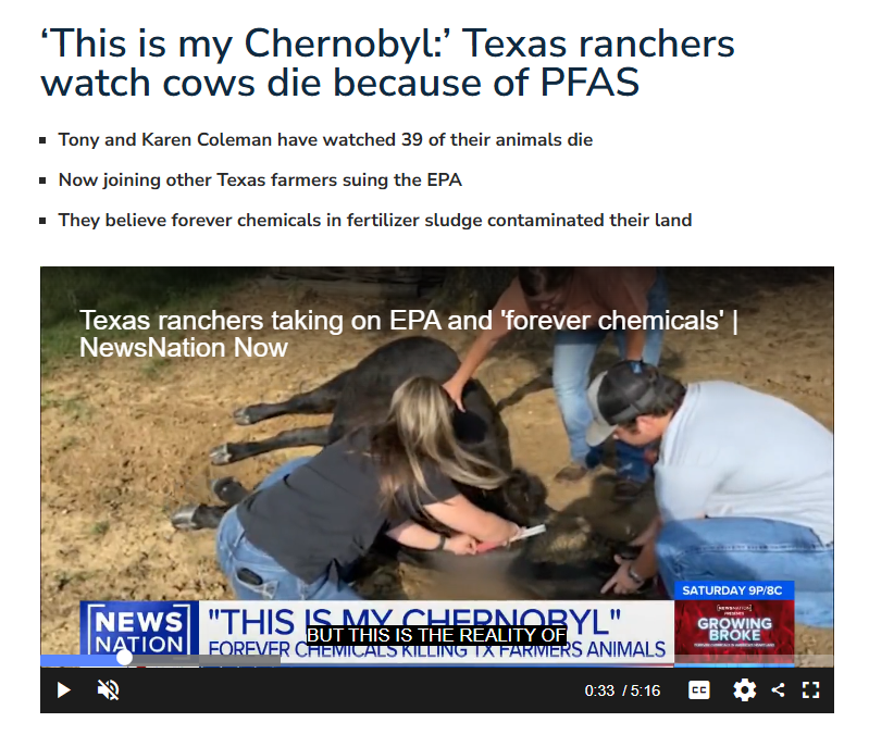 AngelMD1103's tweet image. Heartbreaking scenes in Texas as cows exhibit a staggering gait before their tragic end, with even newborn calves not surviving past a day. This is a rancher&apos;s nightmare. #PFASContamination 🐮story in Comments below 👇