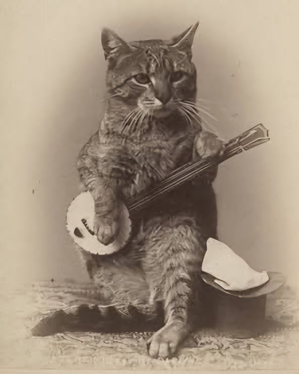 Craig Wheeler (@craigstermeow) on Twitter photo 