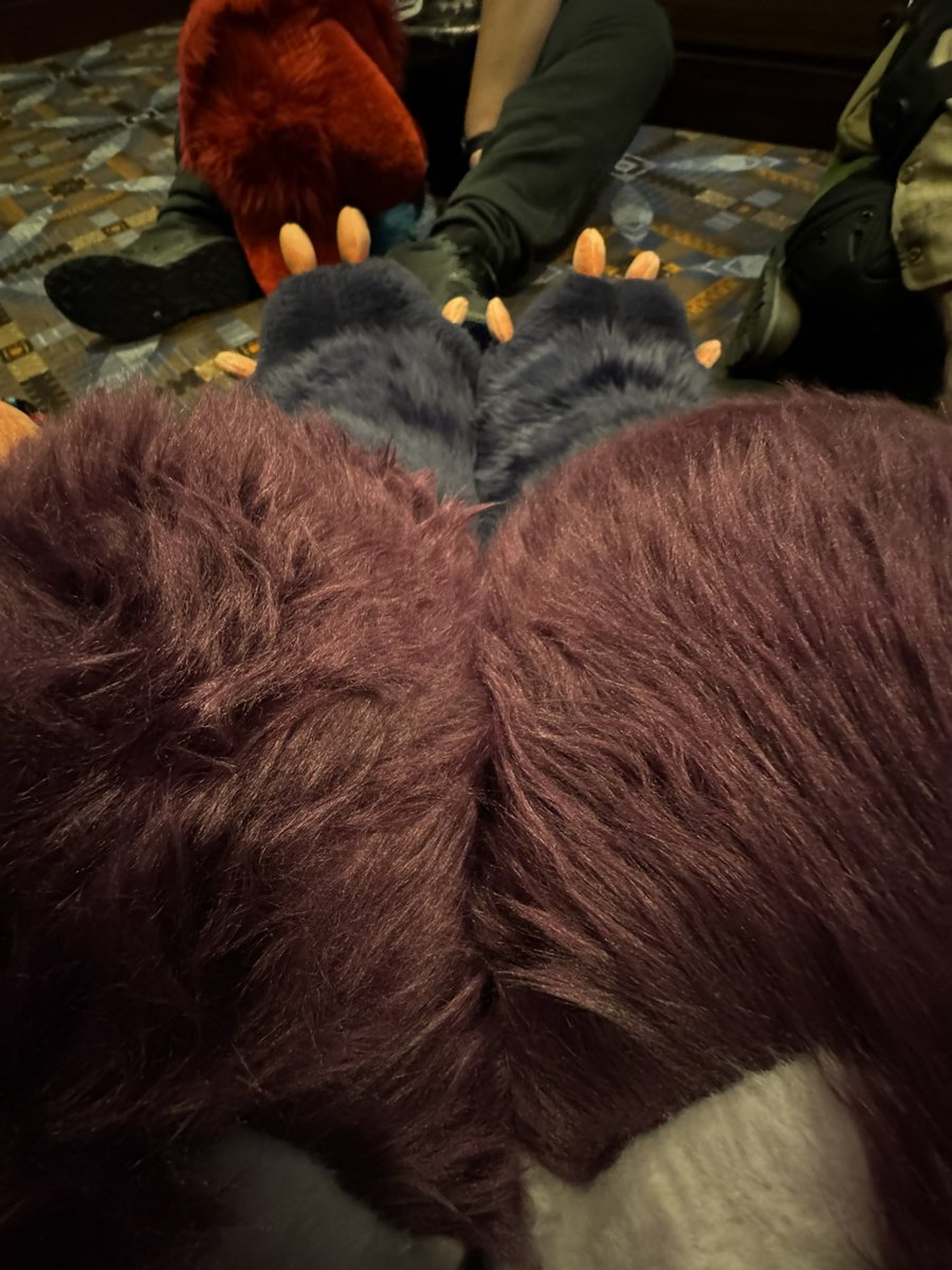 I’m so big and fluffy………