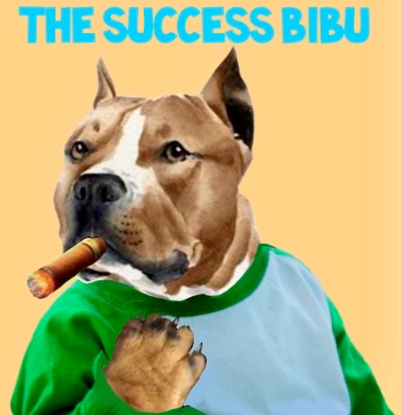 BibuToken's tweet image. $BIBU will be the next Success.
